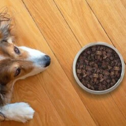 Topdiervoeding Runderlong Hondensnacks - Vers Gedroogd - Knapperig - 1 KG -Hondenartikelen Serie Winkel 1200x1200 75