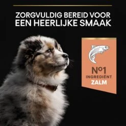 Pro Plan Medium Puppy Sensitive Skin - Honden Droogvoer - Zalm - 12 Kg -Hondenartikelen Serie Winkel 1200x1200 80
