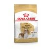Royal Canin Cavalier King Charles Adult - Hondenvoer - 7,5 Kg 2 Royal Canin Cavalier King Charles Adult - Hondenvoer - 7,5 Kg -Hondenartikelen Serie Winkel 1200x1200 83