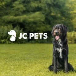 JC Pets Premium Pluizenborstel - Huisdierhaar Verwijderaar – Pluizenverwijderaar – Honden En Kattenhaar Verwijderaar - Ontpluizer - Pluizenroller -Hondenartikelen Serie Winkel 1200x1200 845