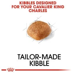 Royal Canin Cavalier King Charles Adult - Hondenvoer - 7,5 Kg 17 Royal Canin Cavalier King Charles Adult - Hondenvoer - 7,5 Kg -Hondenartikelen Serie Winkel 1200x1200 85