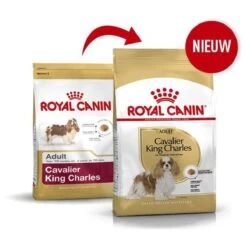 Royal Canin Cavalier King Charles Adult - Hondenvoer - 7,5 Kg 18 Royal Canin Cavalier King Charles Adult - Hondenvoer - 7,5 Kg -Hondenartikelen Serie Winkel 1200x1200 86