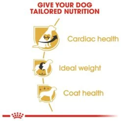 Royal Canin Cavalier King Charles Adult - Hondenvoer - 7,5 Kg 19 Royal Canin Cavalier King Charles Adult - Hondenvoer - 7,5 Kg -Hondenartikelen Serie Winkel 1200x1200 87