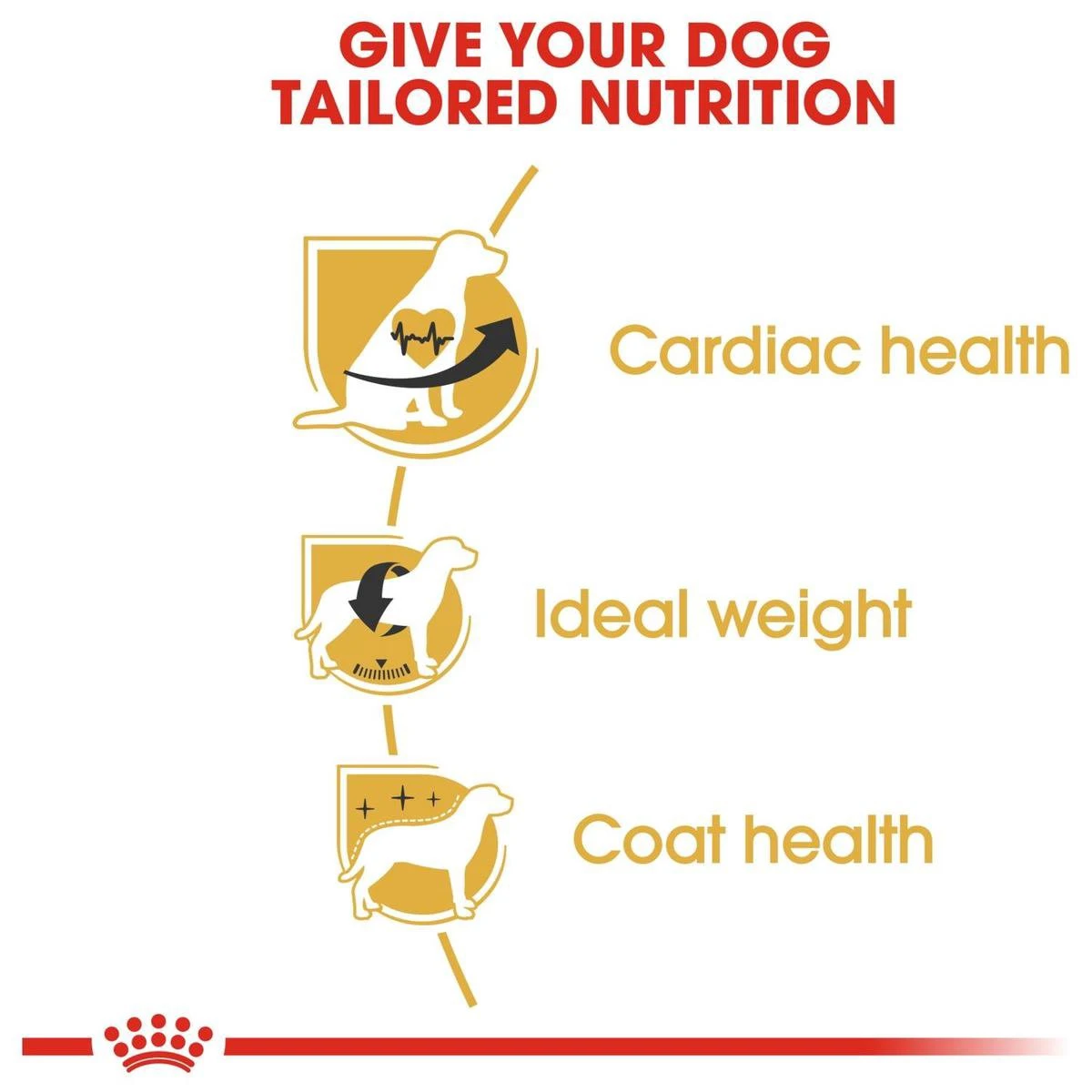 Royal Canin Cavalier King Charles Adult - Hondenvoer - 7,5 Kg 7 Royal Canin Cavalier King Charles Adult - Hondenvoer - 7,5 Kg - Afbeelding 5