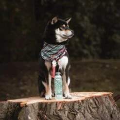 Greenfields - Krachtige Hondenshampoo Met Aloe Vera - Inhoud 270 Ml Of 5 L - 270 Ml -Hondenartikelen Serie Winkel 1200x1200 871