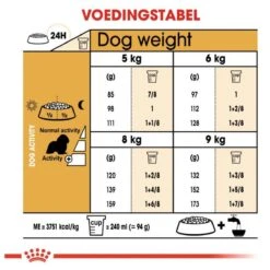 Royal Canin Cavalier King Charles Adult - Hondenvoer - 7,5 Kg 21 Royal Canin Cavalier King Charles Adult - Hondenvoer - 7,5 Kg -Hondenartikelen Serie Winkel 1200x1200 89