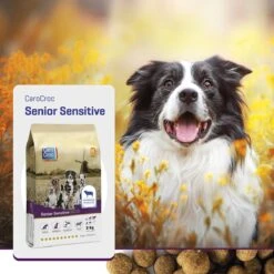 Carocroc Senior Gold 16/10 - Hondenvoer - 15 Kg -Hondenartikelen Serie Winkel 1200x1200 94