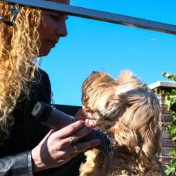 Clipr Ultimate 2-speed Hondentondeuse Op Accu -Hondenartikelen Serie Winkel 1200x1200 956