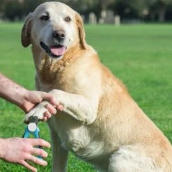 WVspecials® Professionele Dieren Nagelschaar Met Led Licht - Dieren Nagelschaar - Nagelschaar Hond - Honden Nagelknipper - Hondennagels - Honden Knip Schaar - Nageltang - Met LED Licht, Veiligheidsstop En Nagelvijl - Black Friday - Sinterklaas -Hondenartikelen Serie Winkel 1200x1200 993
