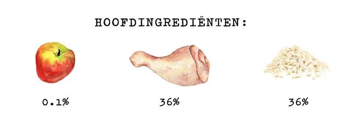 Kivo Petfood Hondenbrokken Verse Kip - 14 Kg - Koudgeperst - Glutenvrij 6 Kivo Petfood Hondenbrokken Verse Kip - 14 Kg - Koudgeperst - Glutenvrij - Afbeelding 4