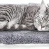 Nobleza Benchkussen - Dierenkussen - Hondenkussen - Kattenkussen - Benchmat - Dierenmat - Hondenmat - Kattenmat - Grijs - Maat S -Hondenartikelen Serie Winkel 1200x531