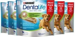 Dentalife Daily Oral Care Maxi Pack - Hondensnack L - 60 St. -Hondenartikelen Serie Winkel 1200x590 1