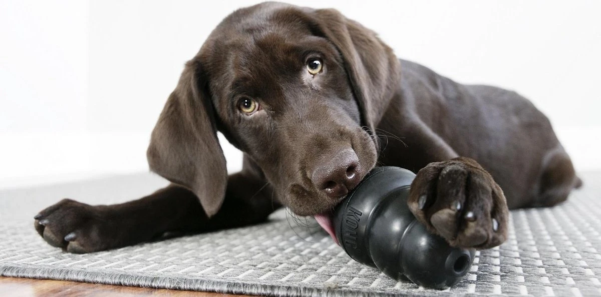 Kong Extreme 10 Kong Extreme - Afbeelding 8