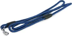 Merkloos Slipriem - Nylon - Riem Voor Hond - Blauw -Hondenartikelen Serie Winkel 1200x596 2