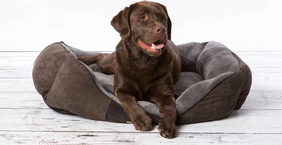 Hondenmand Zacht En Stevig, Anti-Slip En Wasbaar - Scruffs Chester Box Bed - In Grijs En Bruin In Maat S Tot XL - Kleur: Grijs, Maat: Extra Large 13 Hondenmand Zacht En Stevig, Anti-Slip En Wasbaar - Scruffs Chester Box Bed - In Grijs En Bruin In Maat S Tot XL - Kleur: Grijs, Maat: Extra Large - Afbeelding 11