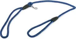 Merkloos Slipriem - Nylon - Riem Voor Hond - Blauw -Hondenartikelen Serie Winkel 1200x629 1