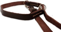 Multifunctionele Hondenriem - 220cm - Bruin - Leren Hondenriem - 100% Volnerfleer - Hondenriem Leer - Leiband Hond -Hondenartikelen Serie Winkel 1200x631 3