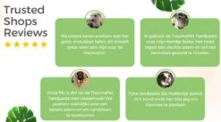 TraumaPet Tandpasta Met Colloïdaal Zilver Voor Dieren | Met Vleessmaak | Bij Stinkende Adem | Tandplak | Geïrriteerd Tandvlees | Tandsteen 7 TraumaPet Tandpasta Met Colloïdaal Zilver Voor Dieren | Met Vleessmaak | Bij Stinkende Adem | Tandplak | Geïrriteerd Tandvlees | Tandsteen -Hondenartikelen Serie Winkel 1200x666