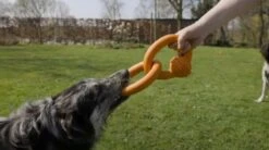 Beeztees Sumo Team - Hondenspeelgoed - Groen - 25x15x7,5 Cm -Hondenartikelen Serie Winkel 1200x669 5