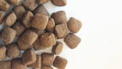 Carocroc Energy 25/16 - Hondenvoer - 15 Kg 14 Carocroc Energy 25/16 - Hondenvoer - 15 Kg -Hondenartikelen Serie Winkel 1200x675 2