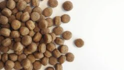 Carocroc Puppy Large Breed 15 KG -Hondenartikelen Serie Winkel 1200x675