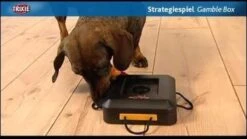 Trixie Dogtoy Dog Activity Strategy Game Gamble Box - Piepend Speelgoed - 15cm X 15cm X 9cm - Zwart/rood/oranje -Hondenartikelen Serie Winkel 1200x675 8