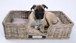 Happy-House Rieten Hondenmand - XL - 90 X 70 Cm Incl Kussen -Hondenartikelen Serie Winkel 1200x678 2