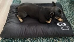 Hondenkussen XXXL -Donkergrijs - 85 X 120 X 14 -Hondenartikelen Serie Winkel 1200x685