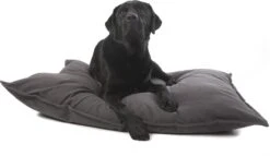 Lex & Max Tivoli - Losse Hoes Voor Hondenkussen - Rechthoek - Antraciet - 100x70cm 9 Lex & Max Tivoli - Losse Hoes Voor Hondenkussen - Rechthoek - Antraciet - 100x70cm -Hondenartikelen Serie Winkel 1200x695 3