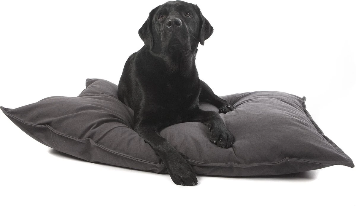 Lex & Max Tivoli - Losse Hoes Voor Hondenkussen - Rechthoek - Antraciet - 100x70cm 5 Lex & Max Tivoli - Losse Hoes Voor Hondenkussen - Rechthoek - Antraciet - 100x70cm - Afbeelding 4