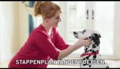 Beaphar Tandpasta - 100 Gr 16 Beaphar Tandpasta - 100 Gr -Hondenartikelen Serie Winkel 1200x697 4