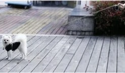 Hondenriem-Looplijn-Zwart/Grijs-8 Meter Oprol-Hond Lijn-Automatisch Rollijn 22 Hondenriem-Looplijn-Zwart/Grijs-8 Meter Oprol-Hond Lijn-Automatisch Rollijn -Hondenartikelen Serie Winkel 1200x703 1