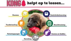 Kong Puppy - Kauwbot Hondenspeelgoed Small - Kauwbot - 85mm X 42mm - Groen/Wit -Hondenartikelen Serie Winkel 1200x704 5