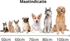 Behave Donut Hondenmand - Hondenkussen - Hondenbed - Kattenmand - Fluffy - Donut - 50cm - Beige 12 Behave Donut Hondenmand - Hondenkussen - Hondenbed - Kattenmand - Fluffy - Donut - 50cm - Beige -Hondenartikelen Serie Winkel 1200x706 1