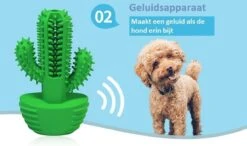 Tandenborstel + TANDPASTA Hond Melk Geur Smaak En Piep Honden Speelgoed - Cactus Dog Toy Tandverzorging Kauwbotten Hondenspeelgoed Hondenbot Kauwstaaf Tanden Puppy Hondenspeeltje Sterk Kauwspeelgoed - Dutchwide -Hondenartikelen Serie Winkel 1200x707 1