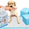 Mr. Poop Toodeloo -Puppy Pads - Training Pads - Maat S: 45 X 33cm - 30 Stuks -Hondenartikelen Serie Winkel 1200x717 3
