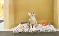 Merkloos Zelfverwarmende Dierendeken Zonder Stroom Thermo Deken Hond Kat Inclusief Adreslabel 70 X 47 Cm -Hondenartikelen Serie Winkel 1200x730 2