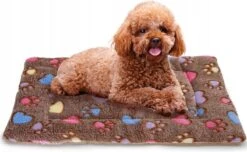 Nobleza Benchkussen - Dierenkussen - Hondenkussen - Kattenkussen - Benchmat - Dierenmat - Hondenmat - Kattenmat - Bruin - Maat S