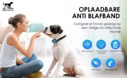 PetFriends Anti Blafband Zonder Schok - Gratis Hondenfluit - USB Oplaadbaar - Anti Blaf Apparaat - Opvoedingshalsband - Voor Grote En Kleine Honden -Hondenartikelen Serie Winkel 1200x742 3