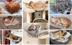 Merkloos Zelfverwarmende Dierendeken Zonder Stroom Thermo Deken Hond Kat Inclusief Adreslabel 70 X 47 Cm -Hondenartikelen Serie Winkel 1200x751 2