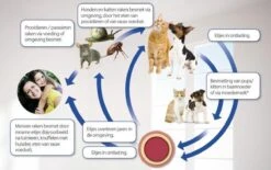 Beaphar Milquestra Ontworming Tabletten Hond 5-50kg 2 Tabletten 18 Beaphar Milquestra Ontworming Tabletten Hond 5-50kg 2 Tabletten -Hondenartikelen Serie Winkel 1200x751 6