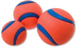 Chuckit! 10 Chuckit Ballen In Emmer - Chuckit - Veilig Voor Gebit - Hondenbal - Past In Werpstok 8 Chuckit! 10 Chuckit Ballen In Emmer - Chuckit - Veilig Voor Gebit - Hondenbal - Past In Werpstok -Hondenartikelen Serie Winkel 1200x751 8