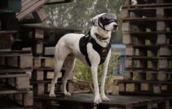 Always Prepared © Pro K9 Hondentuig - Anti Trek - Y Tuig - Middel En Grote Hond - Veiligheidstuig -Hondenartikelen Serie Winkel 1200x761 4