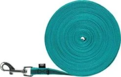 Trixie Hondenriem Sleeplijn Met Rubber Turquoise 12 Trixie Hondenriem Sleeplijn Met Rubber Turquoise -Hondenartikelen Serie Winkel 1200x762 4