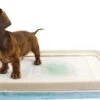 EasyPets Padhouder Honden Toilet -Hondenartikelen Serie Winkel 1200x780 7