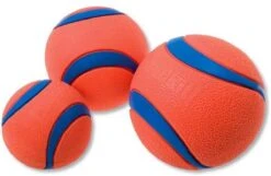 Chuckit! Chuckit Ultra Ball - XXL - 11 Cm -Hondenartikelen Serie Winkel 1200x781 4