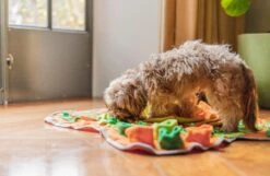 SNUFFIES® Snuffelmat Belle 60x50cm – Snuffelmat – Snuffelmatten - Honden Speelgoed - Honden Speelgoed Intelligentie - Snuffelmat Hond - Snuffelmatten – Hersenwerk – Honden Speeltjes – Puppy - Puppy Speelgoed - Honden Denkspelletjes -Hondenartikelen Serie Winkel 1200x783 3