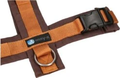 Anny.X Hondentuig Y Tuig Bruin Barnsteen Maat L Geschikt Voor Borstomvang 70-86cm -Hondenartikelen Serie Winkel 1200x789 3