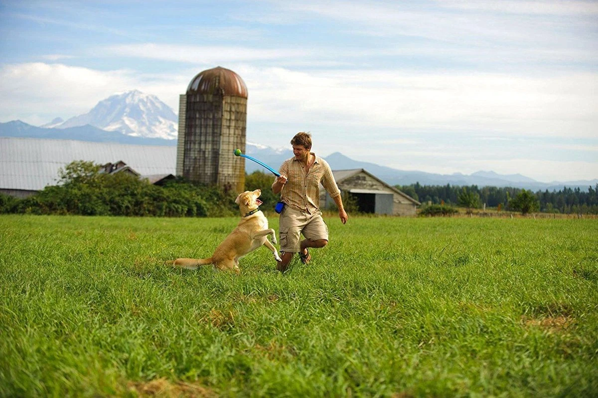 Benson Rode Honden Ballenwerper Met Ergonomische Handgreep – Inclusief Tennisbal – 38cm – Rood | Balwerper Voor Hond | Bal Werpen | Apporteer Speelgoed | Hondenspeelgoed 6 Benson Rode Honden Ballenwerper Met Ergonomische Handgreep – Inclusief Tennisbal – 38cm – Rood | Balwerper Voor Hond | Bal Werpen | Apporteer Speelgoed | Hondenspeelgoed - Afbeelding 4