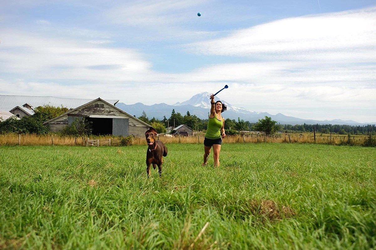 Benson Rode Honden Ballenwerper Met Ergonomische Handgreep – Inclusief Tennisbal – 38cm – Rood | Balwerper Voor Hond | Bal Werpen | Apporteer Speelgoed | Hondenspeelgoed 7 Benson Rode Honden Ballenwerper Met Ergonomische Handgreep – Inclusief Tennisbal – 38cm – Rood | Balwerper Voor Hond | Bal Werpen | Apporteer Speelgoed | Hondenspeelgoed - Afbeelding 5